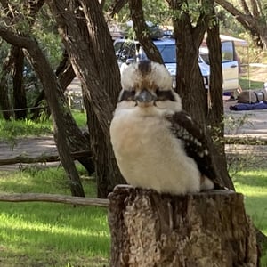 Pink Cloud Day by Newluks