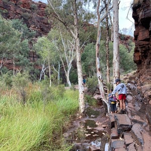 Rainy Day by Newluks