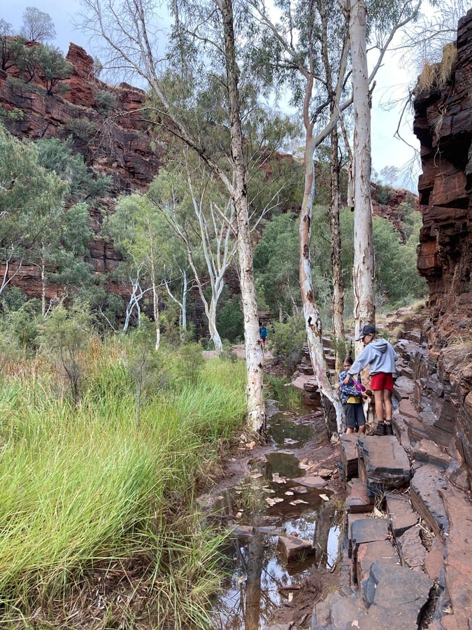 Giorno di pioggia, Australia