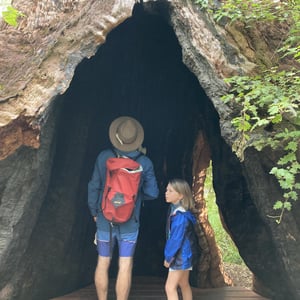 Tree Top Walk by Newluks