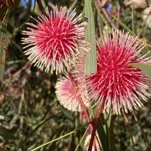 Beach Day by Newluks