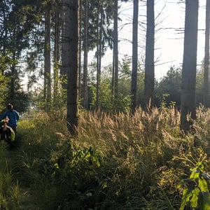 Photos From Today by Simon &amp;amp; Lucy