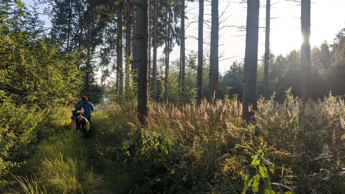 Photos From Today, Germany