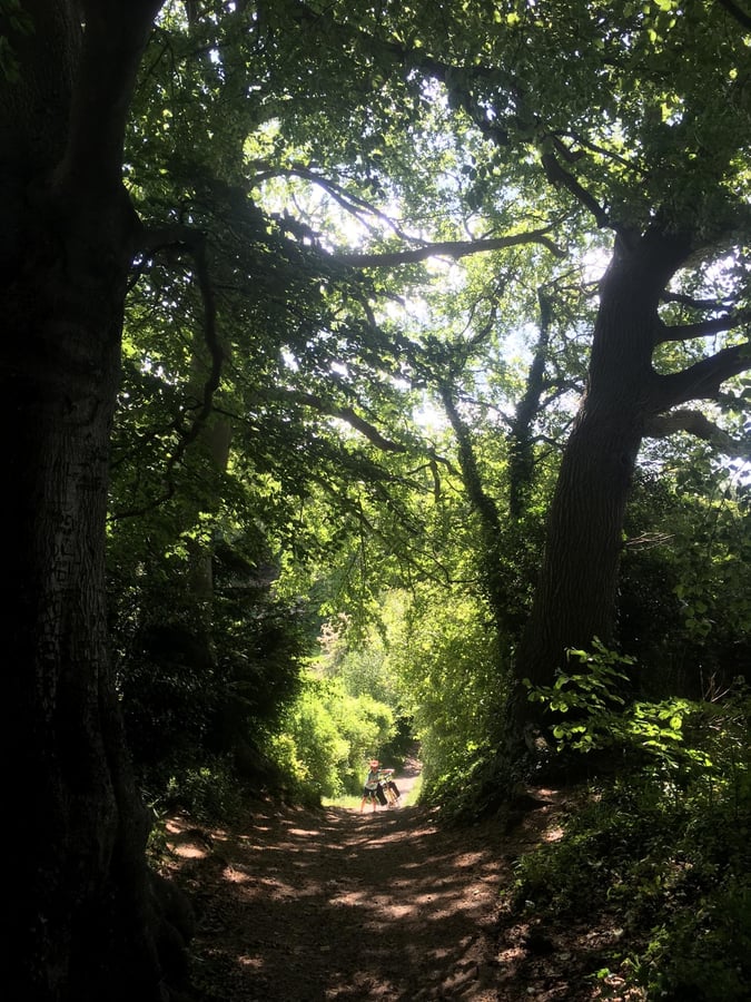 Ziemlich steil!, England