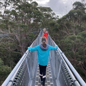 Tree Top Walk by Newluks