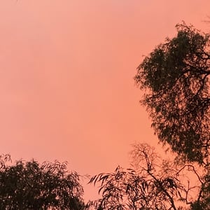 Pink Cloud Day by Newluks