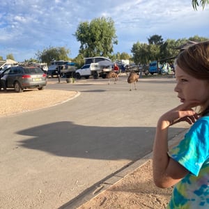 Big Drive Day by Newluks