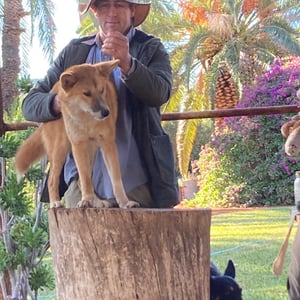 I got to feed a Dingo!! by Newluks