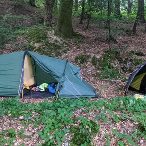 Camping In The Forest by Simon &amp;amp; Lucy