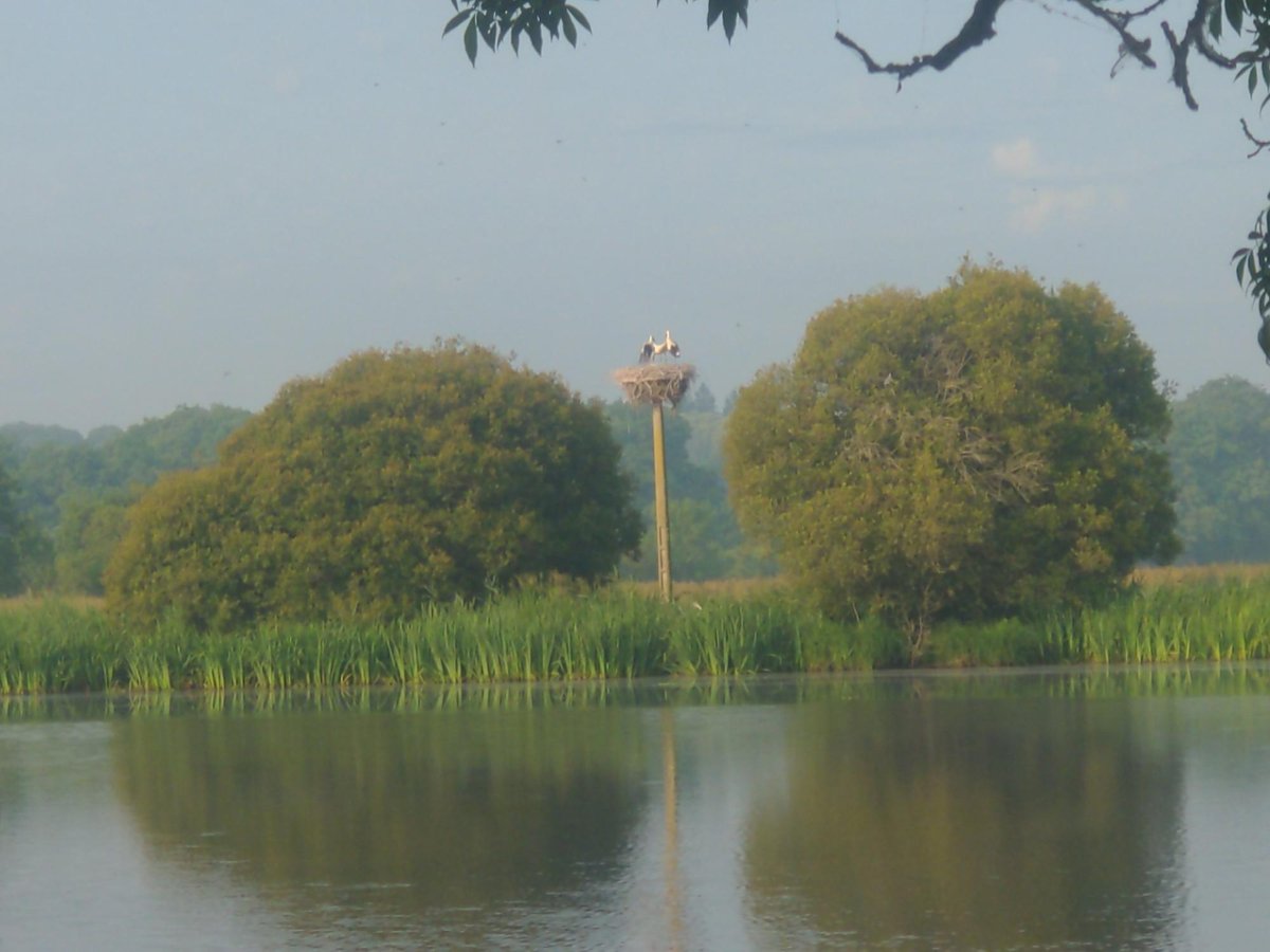 Störche, Frankreich