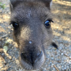 Finally a rest day by Newluks