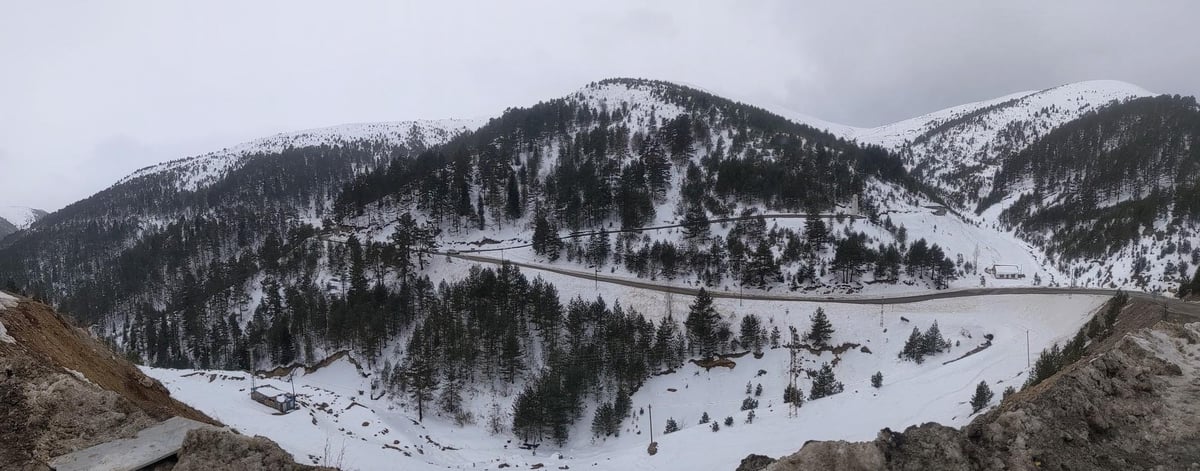 12 Jan 2022 - 20:31, Türkiye