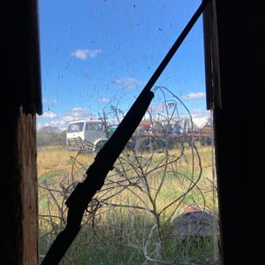 I got to feed a Dingo!! by Newluks