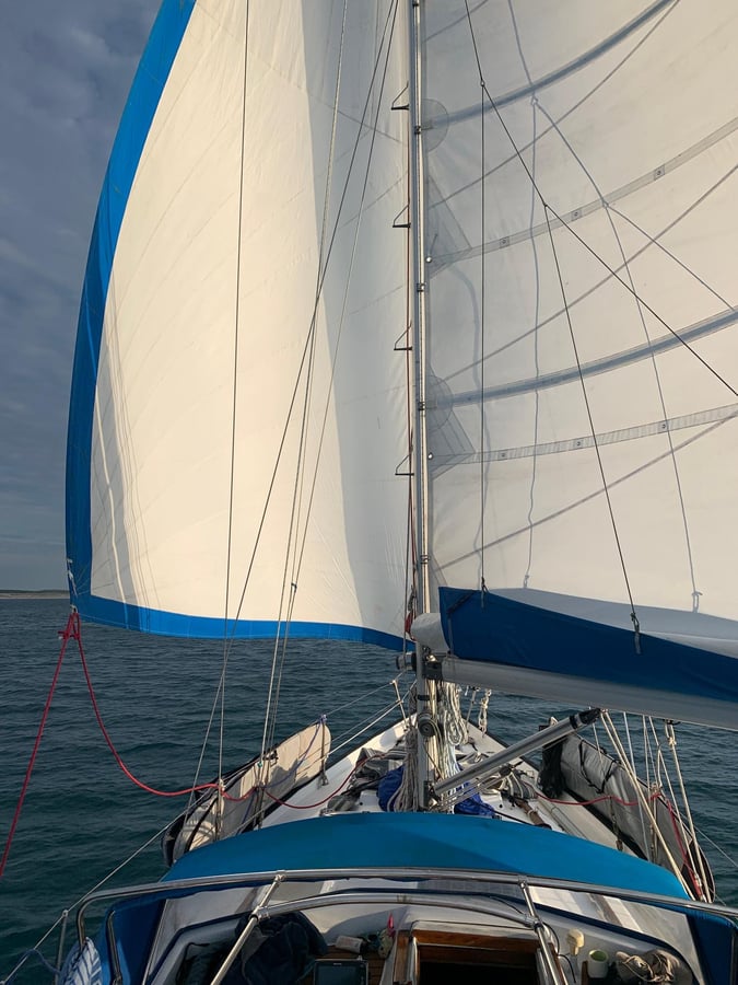 ¡Por fin ha vuelto el viento!, Francia