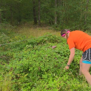 11:15 by Simon &amp;amp; Lucy