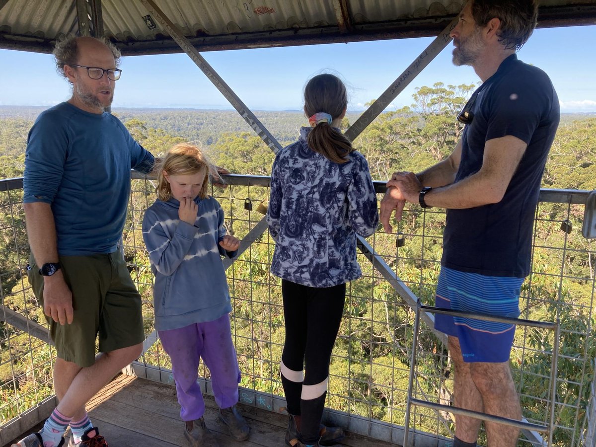 Highest Tree Climb, Australia