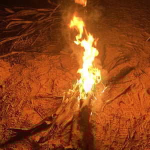 Lovely fire!! by Newluks