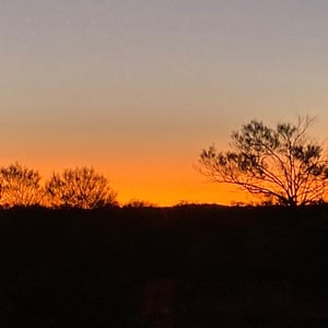 Beautiful sunset by Newluks