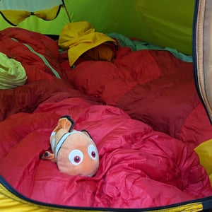 19:19 by Simon &amp;amp; Lucy