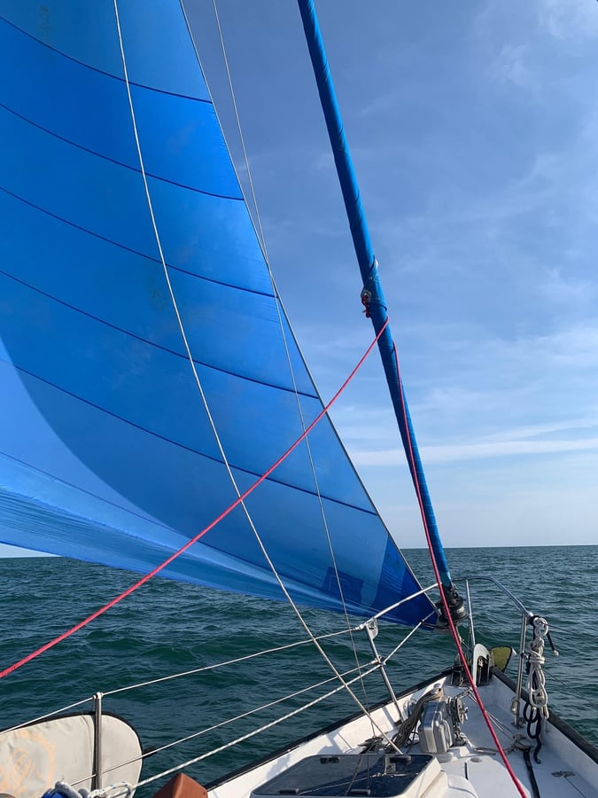 ¡Spinnaker está arriba!