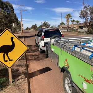 Emus!!!! by Newluks