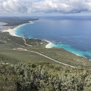 We saw a snake!!!!! by Newluks