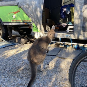 Finally a rest day by Newluks