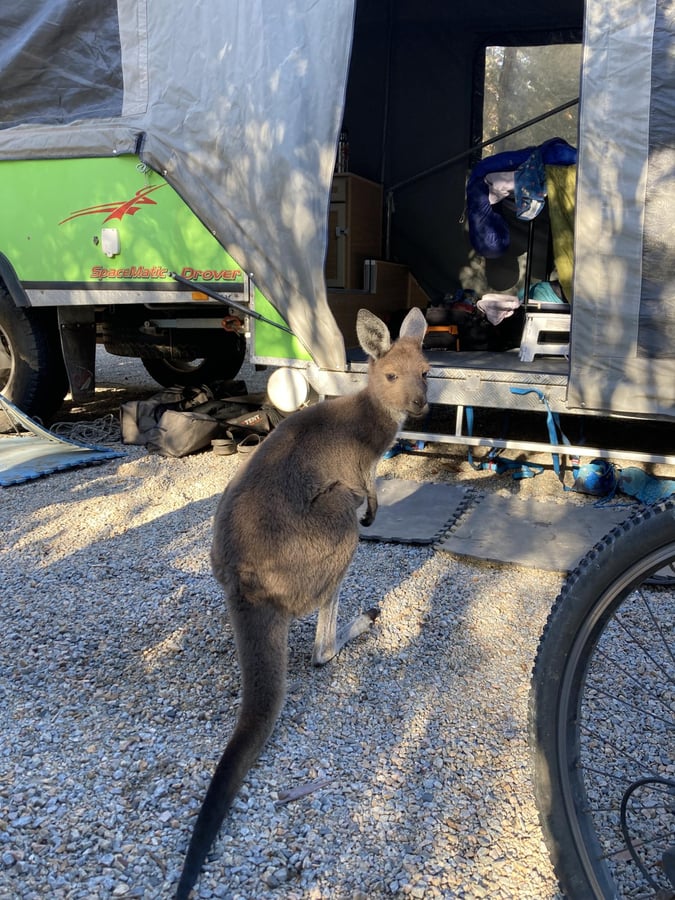 Endlich ein Ruhetag, Australien