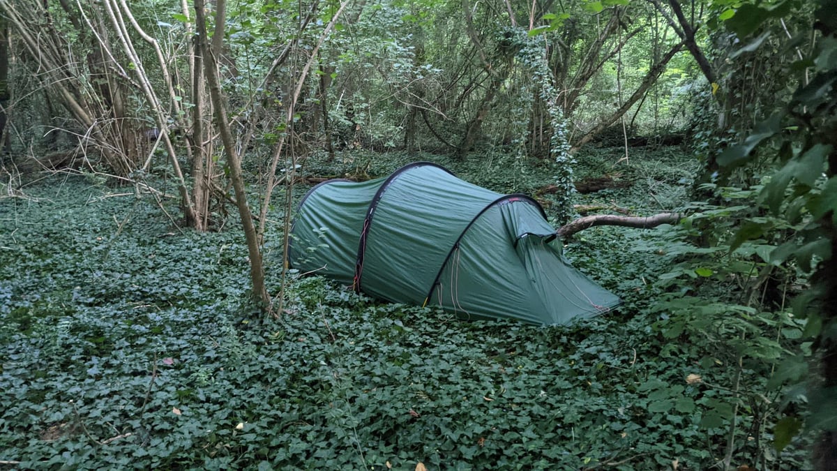 Rain and Mosquitos, France