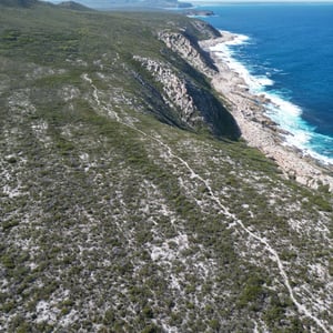 Apply for a Walk by Newluks