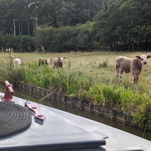 Watering Hole by Simon &amp;amp; Lucy