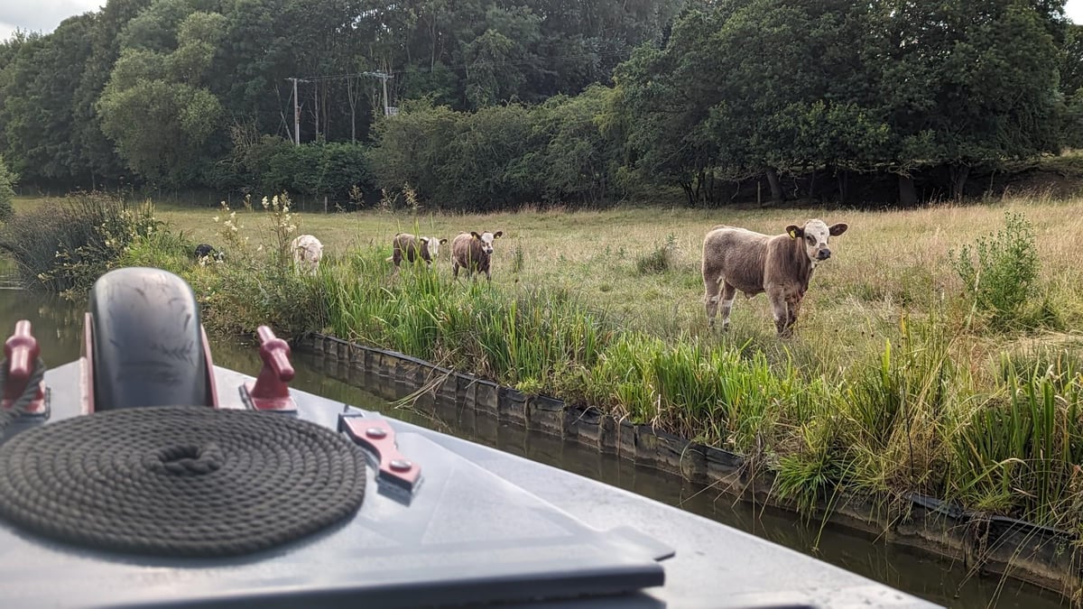 Watering Hole, England
