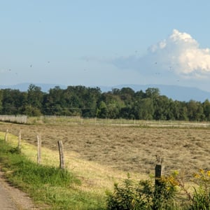 From earlier today by Simon &amp;amp; Lucy