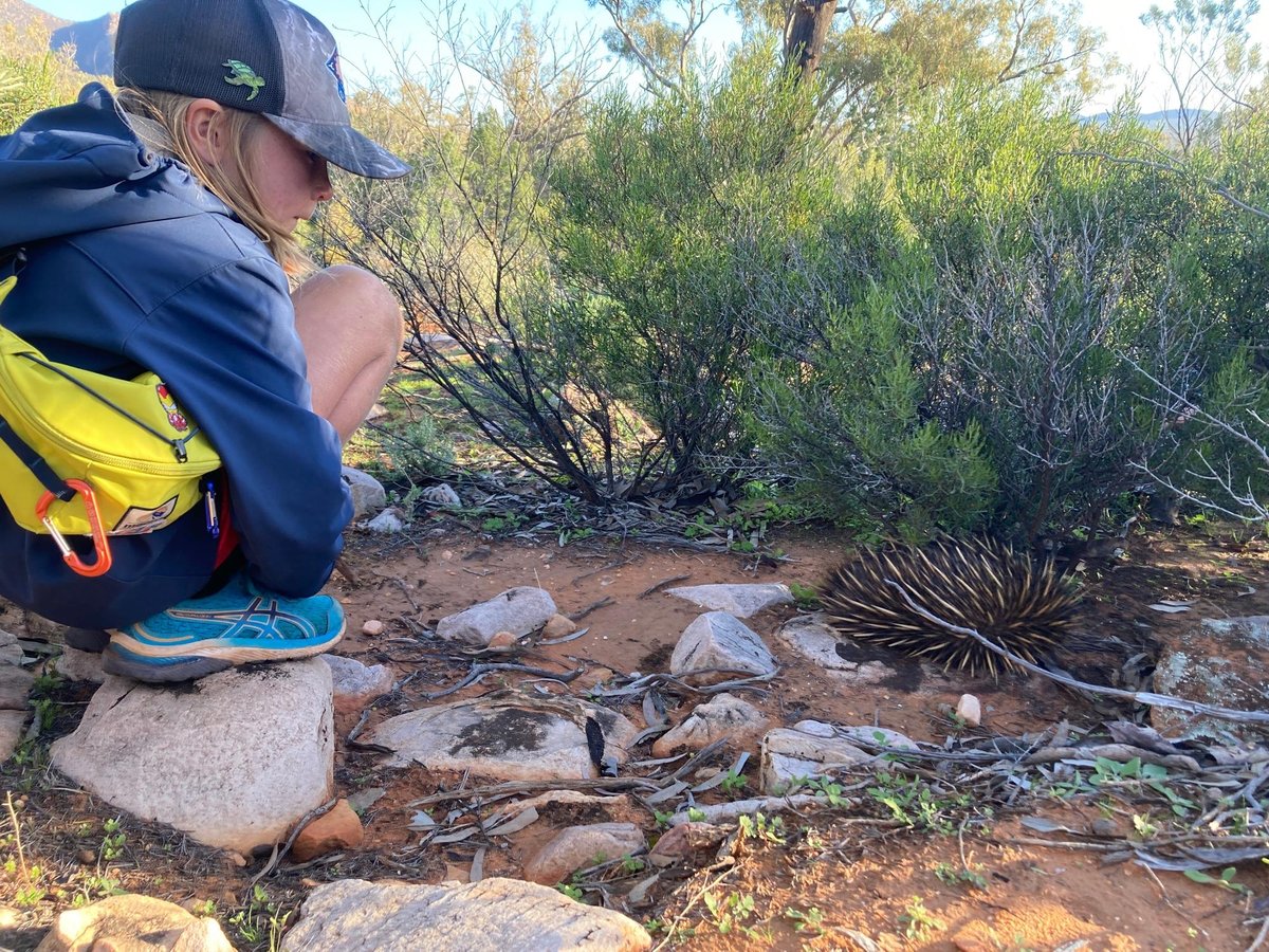 Big hike but beautiful, Australia