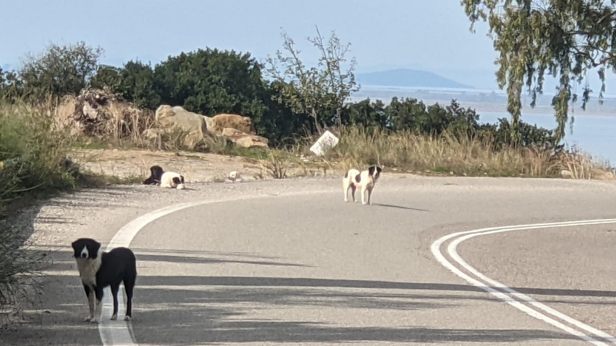 1 Nov 2021, Greece