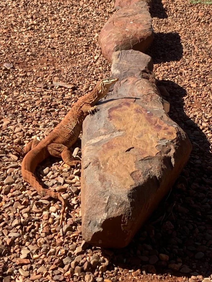 Back In Exmouth, Australia