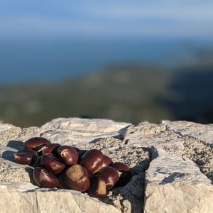 Lake Skadar National Park by Simon &amp;amp; Lucy