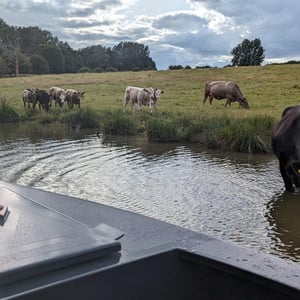 Watering Hole by Simon &amp;amp; Lucy