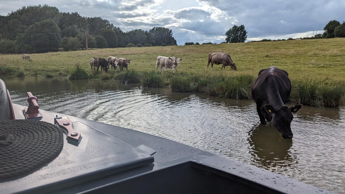 Watering Hole, England