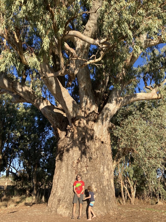 Grenzübertritt, Australien
