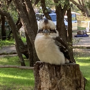 Pink Cloud Day by Newluks