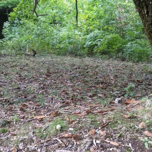 13 Oct 2021 - 09:59 by Simon &amp;amp; Lucy