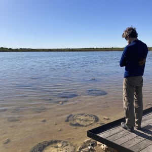 Oldest living organism by Newluks