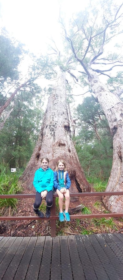Baumwipfelpfad, Australien