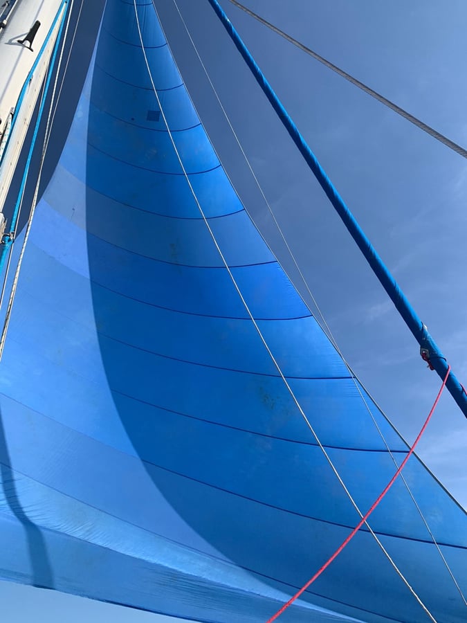 ¡Spinnaker está arriba!