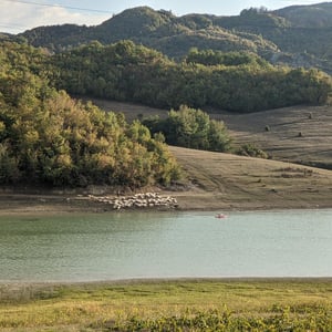 Camping Tirana by Simon &amp;amp; Lucy