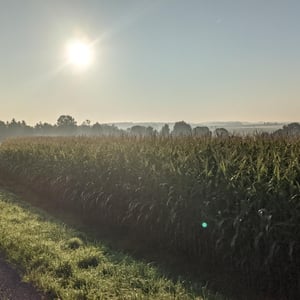 1st September by Simon &amp;amp; Lucy