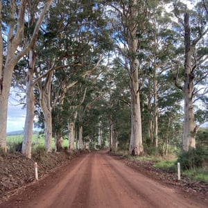 Ice Cream! by Newluks
