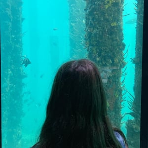 In A Real house! by Newluks