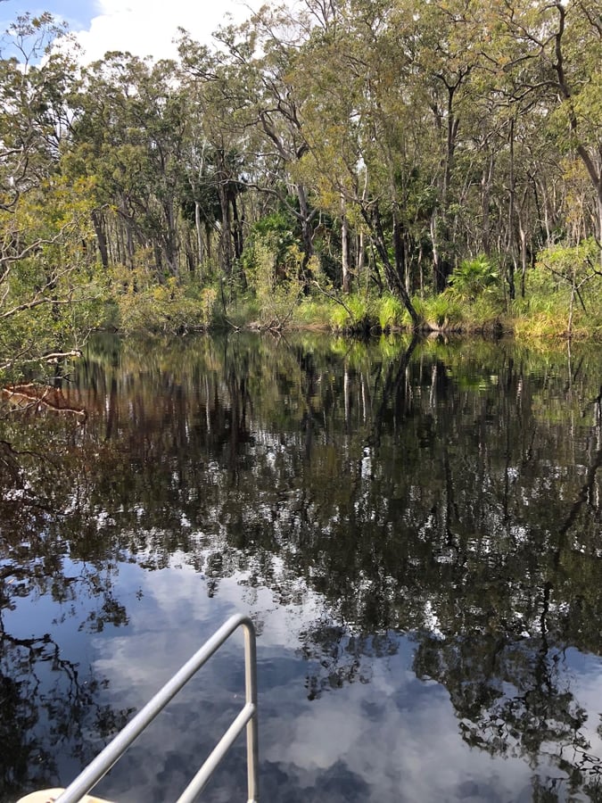 The Everglades., Australia